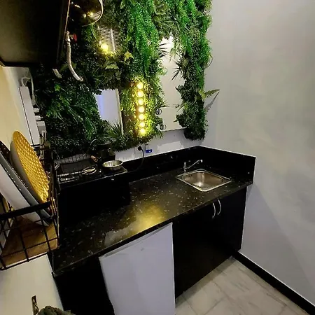 Apartamento Mini Estudio Alamedad De Hercules